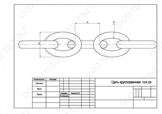 Цепь 10х28
